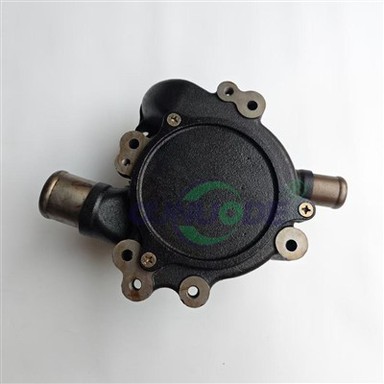 Pompa tal-Ilma - 16100-3910